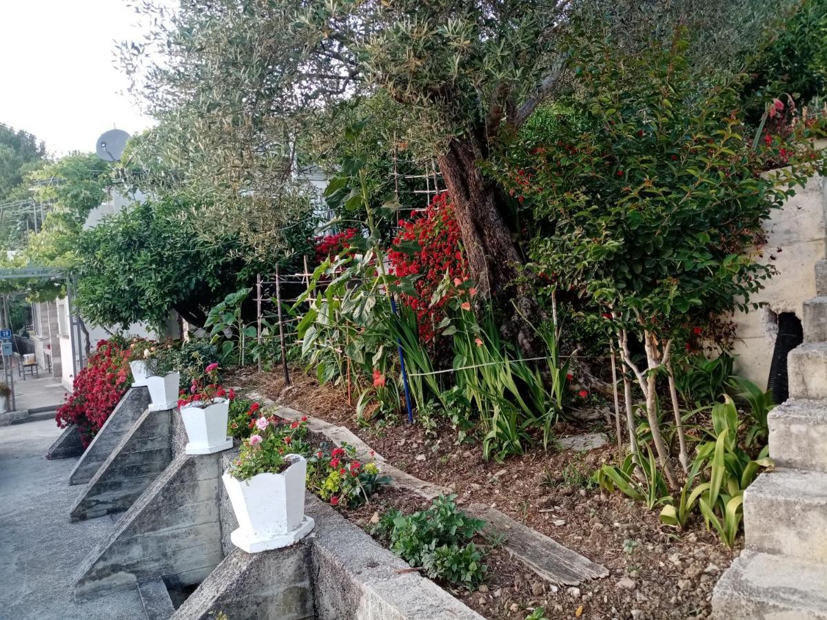 Apartmani Bosco Τίβατ Εξωτερικό φωτογραφία
