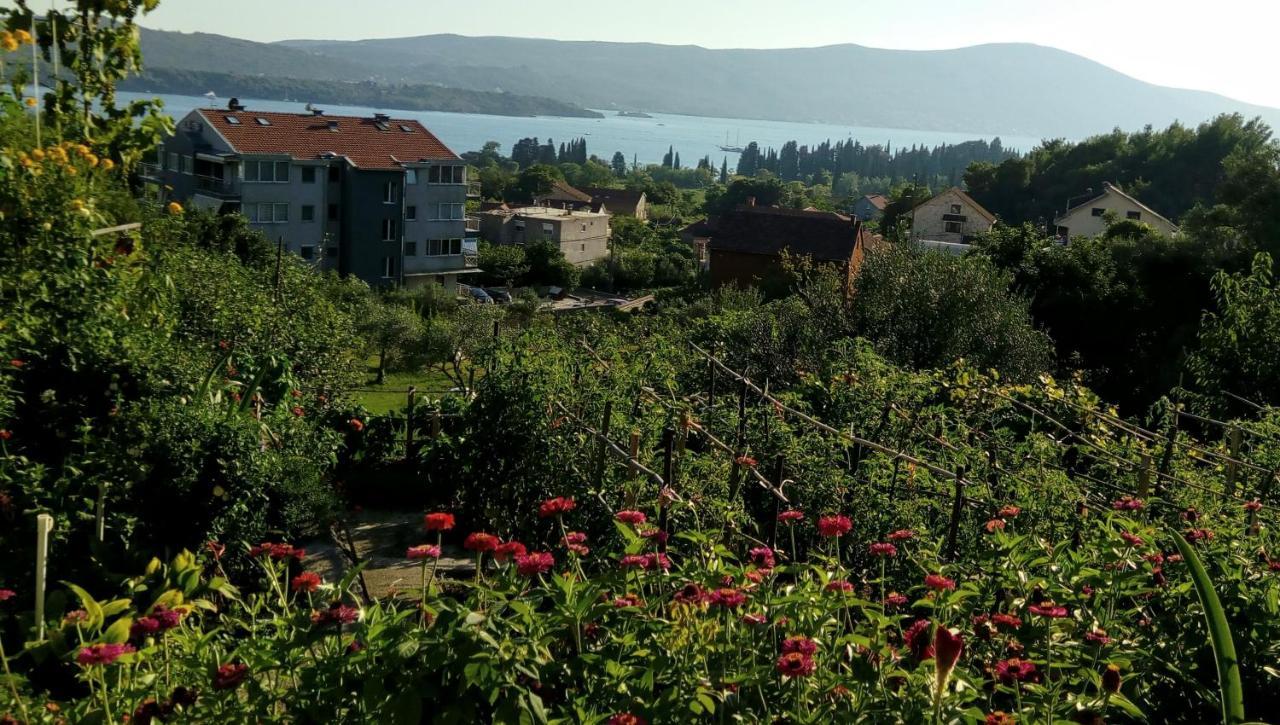 Apartmani Bosco Τίβατ Εξωτερικό φωτογραφία