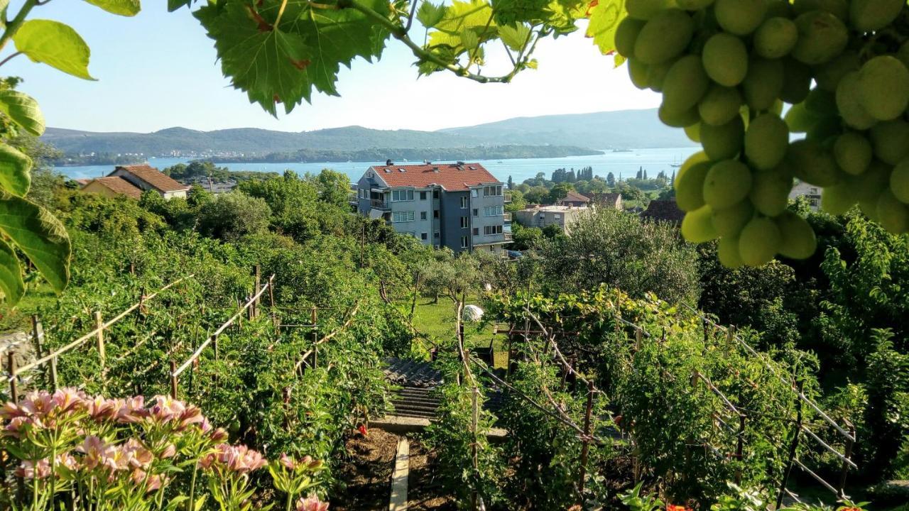 Apartmani Bosco Τίβατ Εξωτερικό φωτογραφία