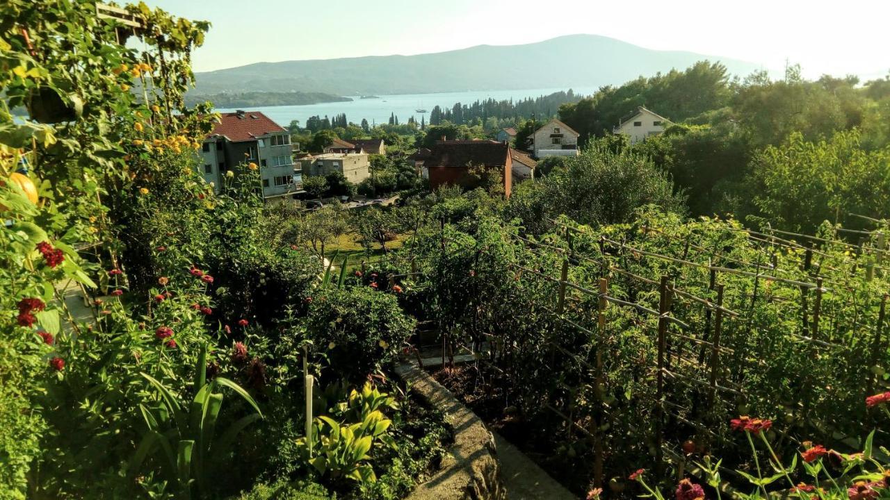 Apartmani Bosco Τίβατ Εξωτερικό φωτογραφία
