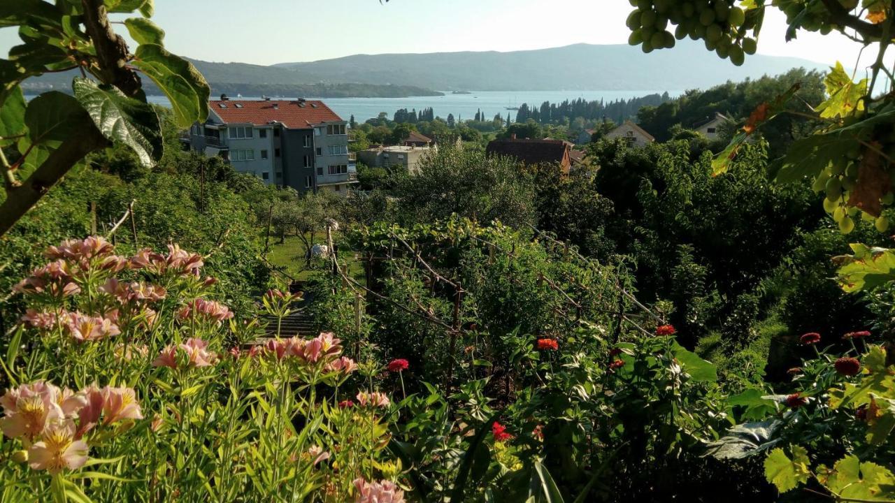 Apartmani Bosco Τίβατ Εξωτερικό φωτογραφία