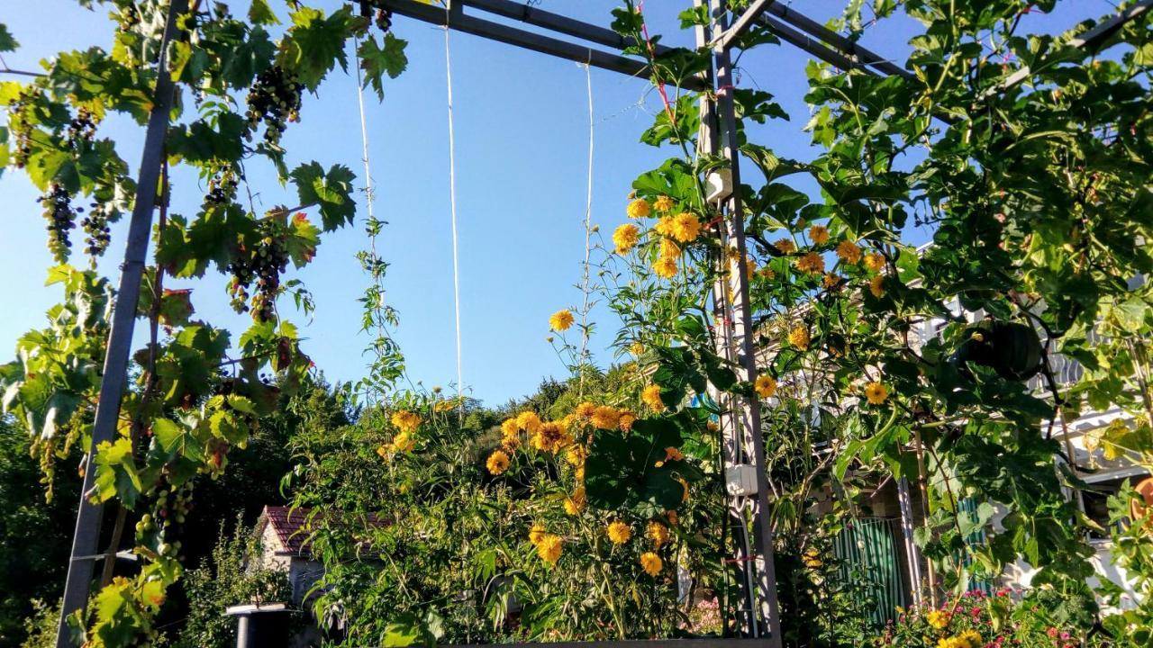 Apartmani Bosco Τίβατ Εξωτερικό φωτογραφία